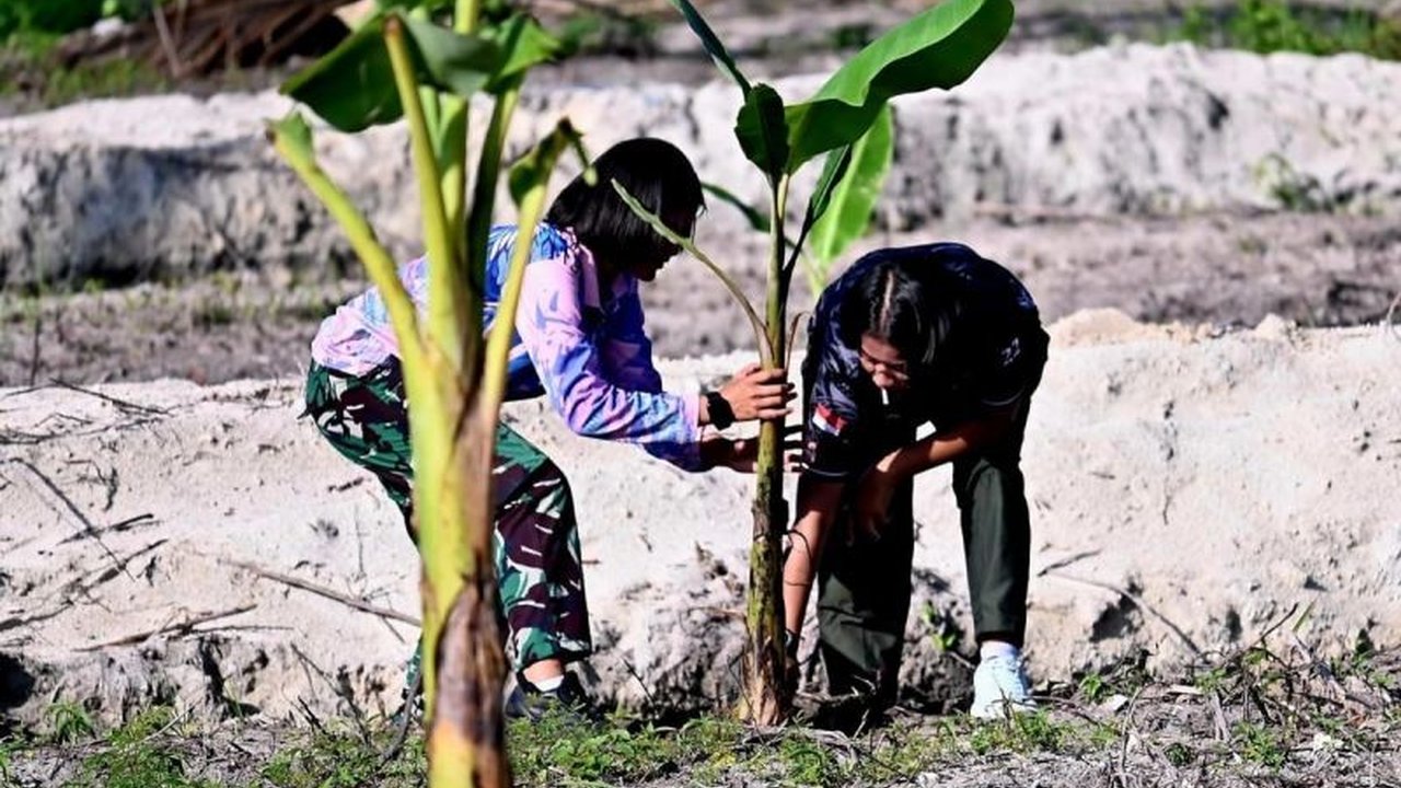 Lanud Raden Sadjad Natuna menanam 200 bibit pisang berbagai jenis di lahan 5 hektare untuk mendukung ketahanan pangan di wilayah perbatasan dan menginspirasi masyarakat.