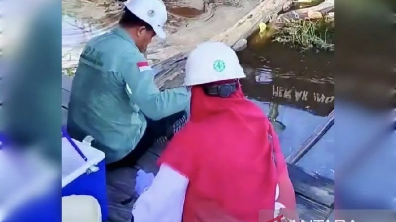 Dinas Lingkungan Hidup (DLH) Kotim langsung menindaklanjuti laporan pencemaran minyak di Sungai Mentaya, mengambil sampel untuk uji lab, dan mengimbau masyarakat untuk menjaga kebersihan sungai.