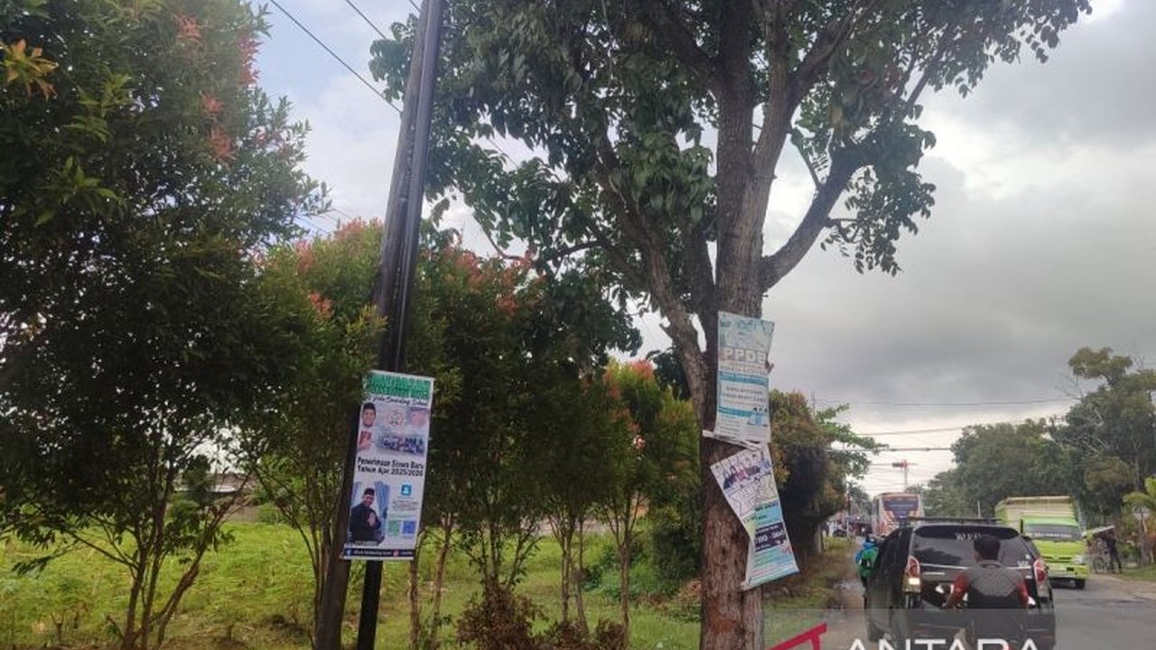 Pemkot Bengkulu melakukan penertiban besar-besaran terhadap ribuan spanduk dan reklame ilegal yang merusak estetika kota dan merugikan pendapatan daerah.