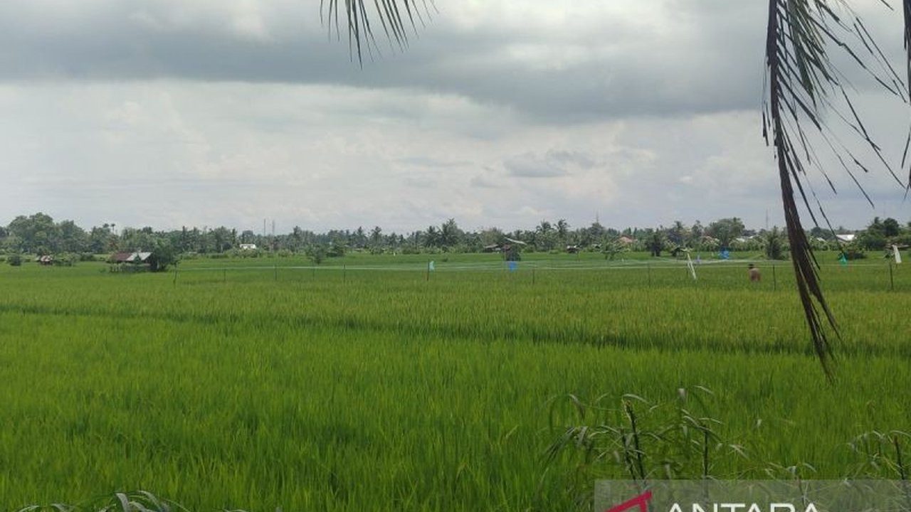 Pemprov Bengkulu mengajukan permohonan bantuan 1.774 ton pupuk organik subsidi ke pemerintah pusat untuk membantu petani di Kabupaten Bengkulu Selatan dan Mukomuko meningkatkan hasil panen.