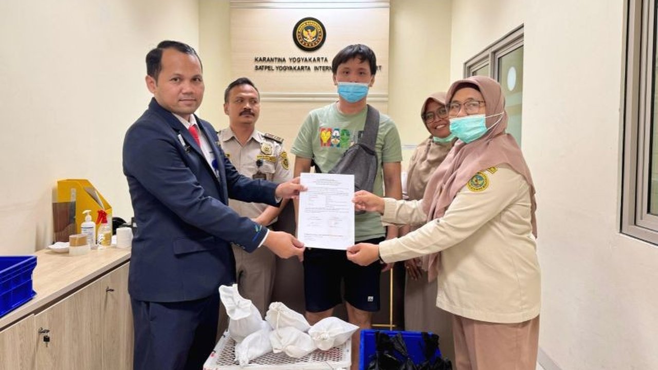 Balai Karantina Hewan Yogyakarta menggagalkan penyelundupan 6 ular python albino dan 8 biawak di YIA oleh seorang WNA yang akan mengirimnya ke luar negeri tanpa dokumen karantina.