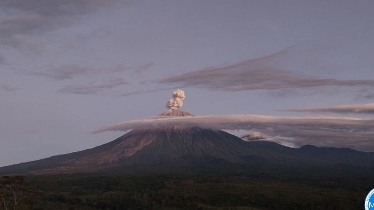 Semeru Erupsi! Letusan 900 Meter di Atas Puncak, Warga Diminta Jauhi Zona Bahaya