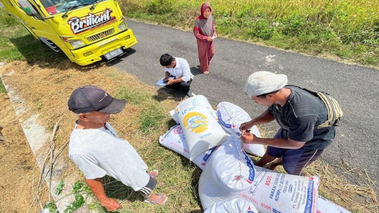 BULOG Kanwil Yogyakarta berkomitmen tingkatkan kesejahteraan petani melalui penyerapan gabah kering panen dengan harga Rp6.500 per kg, capai realisasi tertinggi dalam 10 tahun terakhir.