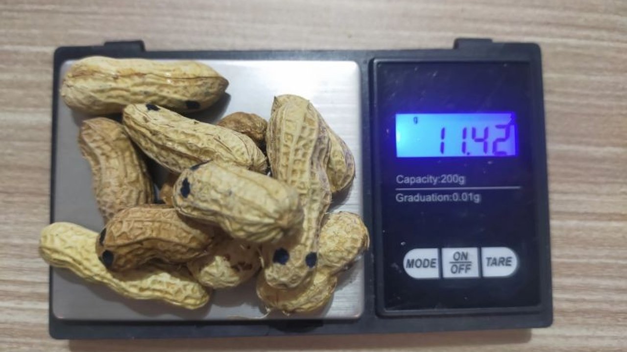 Polresta Bandung mengungkap modus baru peredaran sabu yang disembunyikan dalam kulit kacang; satu tersangka ditangkap dan polisi masih melakukan pengembangan.