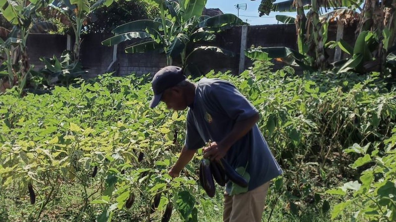 Lembaga Pemasyarakatan Kelas IIA Kediri berhasil panen terung 18 kuintal dari program ketahanan pangan, memberdayakan warga binaan dan mendukung perekonomian lokal.