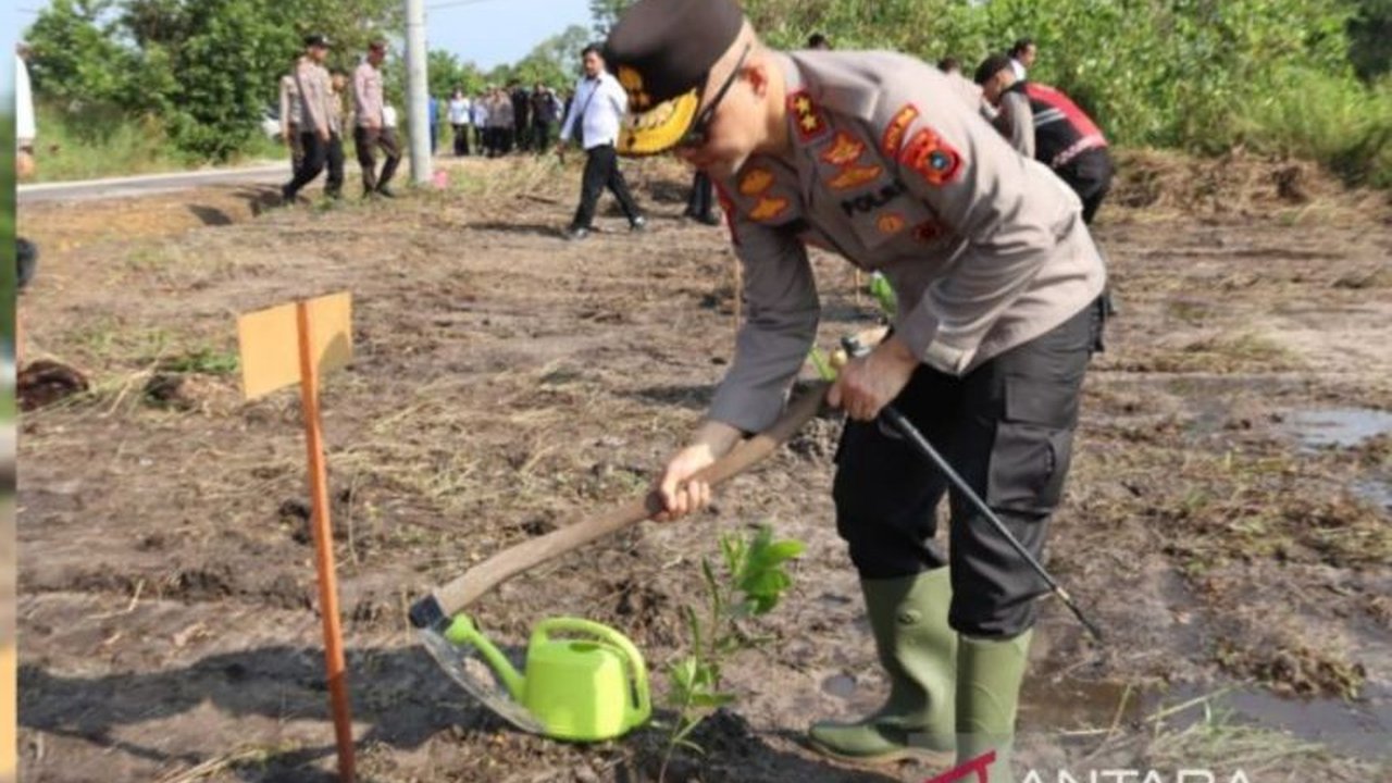 Polda Kepulauan Bangka Belitung bersama jajarannya berhasil menghijaukan 18 hektare lahan kritis dengan menanam 3.500 bibit pohon berbagai jenis, sebagai bagian dari program 'Ketahanan Bumi Serumpun Sebalai'.