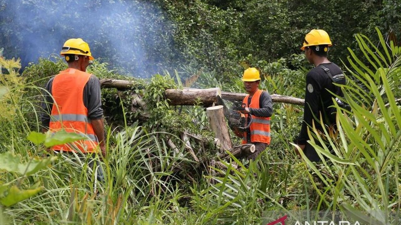 Program cofiring biomassa di Aceh Jaya berhasil membuka lapangan kerja baru bagi warga setempat, memanfaatkan limbah kayu untuk bahan bakar PLTU dan meningkatkan perekonomian masyarakat.