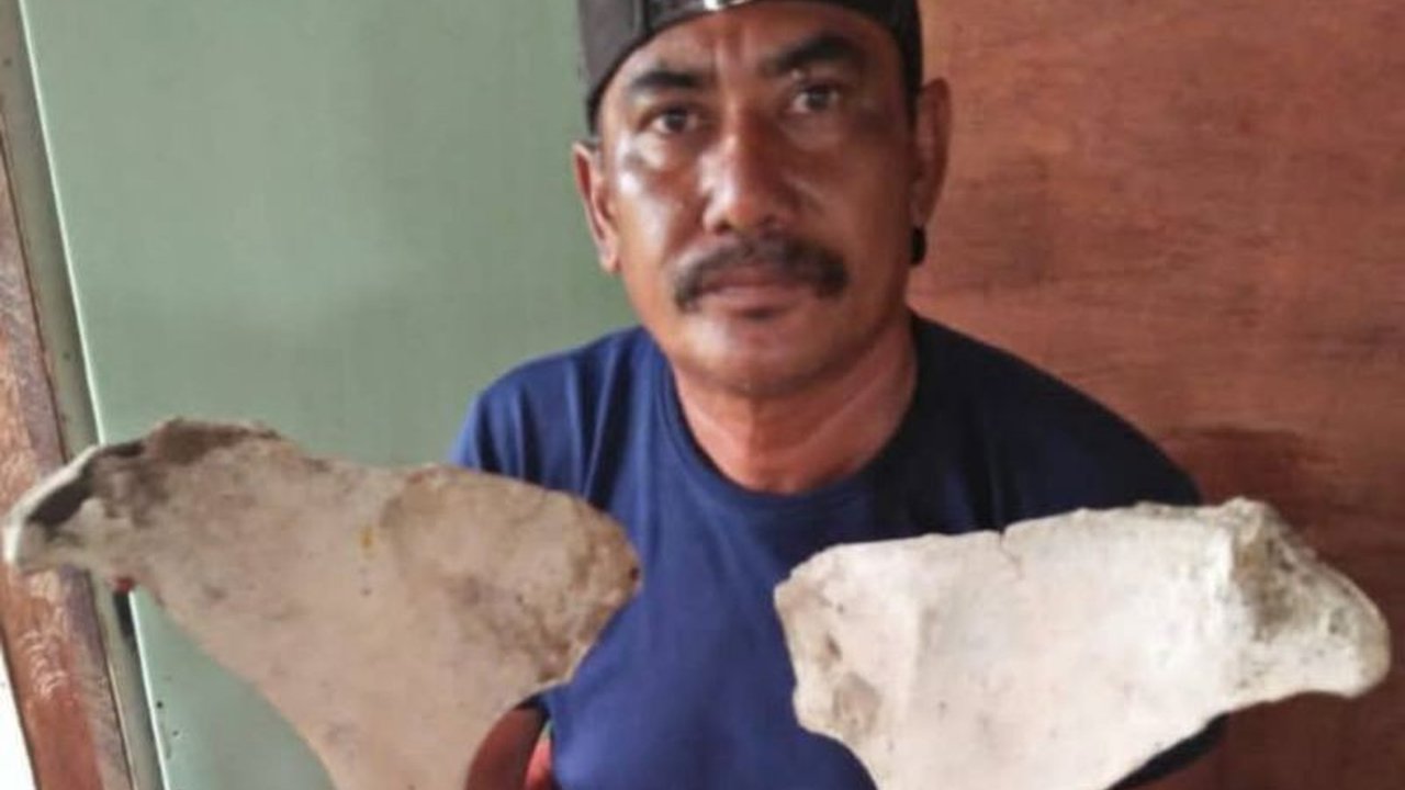 Pemerintah Kabupaten Tanjung Jabung Timur (Tanjabtim) menindaklanjuti temuan tulang diduga fosil di Sungai Batanghari yang ditemukan nelayan setempat dan akan berkoordinasi dengan Balai Pelestarian Kebudayaan (BPK) Wilayah V untuk identifikasi lebih lanju