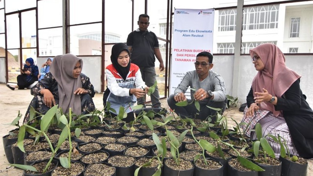 Pertamina Patra Niaga Regional Sumbagut berkolaborasi dengan Universitas Malikussaleh mengembangkan edu-ekowisata di kampus Reuleut, Aceh Utara, sebagai upaya pelestarian alam dan peningkatan ekonomi masyarakat.