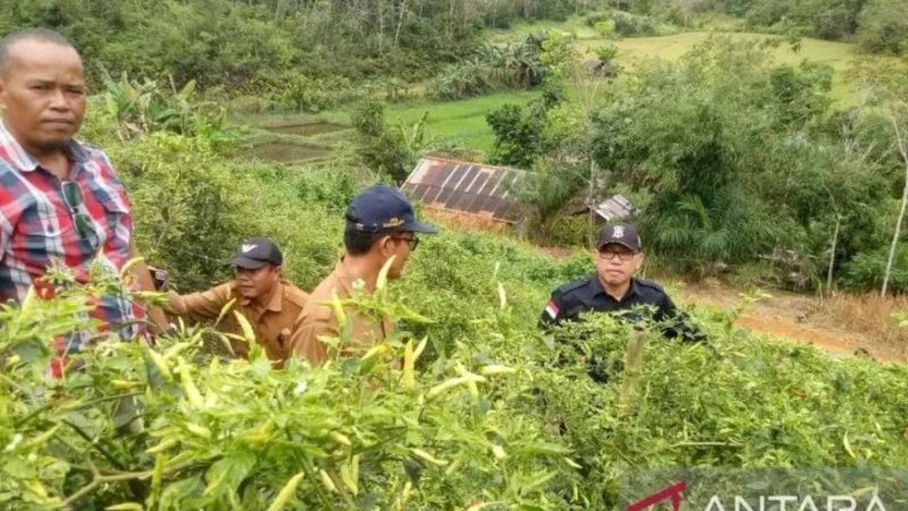 Produksi hortikultura Kalimantan Barat mencapai 613.604 ton di tahun 2024, didominasi buah-buahan, meski masih hadapi tantangan terkait pendataan dan penggunaan pupuk.