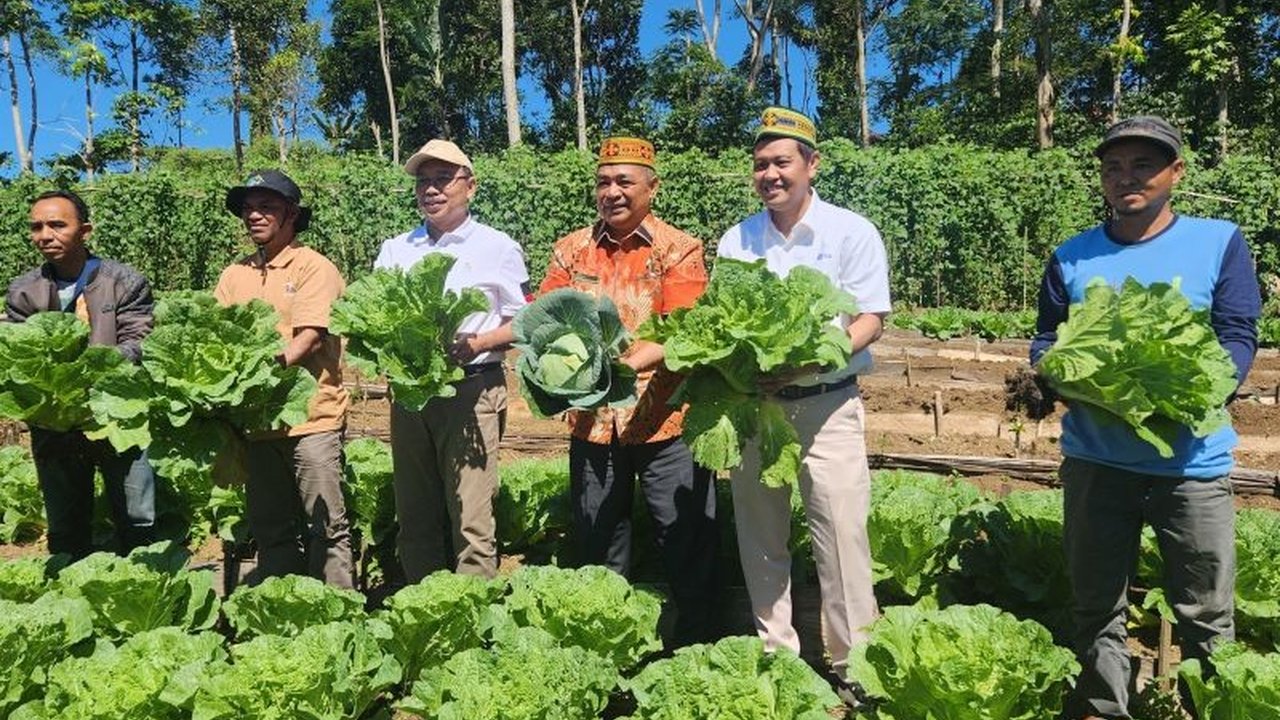 Bank Indonesia NTT mendorong generasi muda Manggarai dan Manggarai Timur untuk mengembangkan sektor pertanian berkelanjutan guna memenuhi kebutuhan pasar lokal, termasuk Labuan Bajo, serta menopang ketahanan pangan nasional.