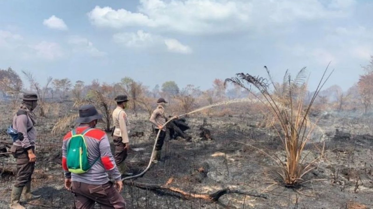 Gubernur Riau menetapkan status siaga karhutla seiring dengan 10 kabupaten/kota lainnya di Riau yang telah menetapkan hal serupa untuk mengantisipasi musim kemarau dan mencegah kebakaran hutan dan lahan.