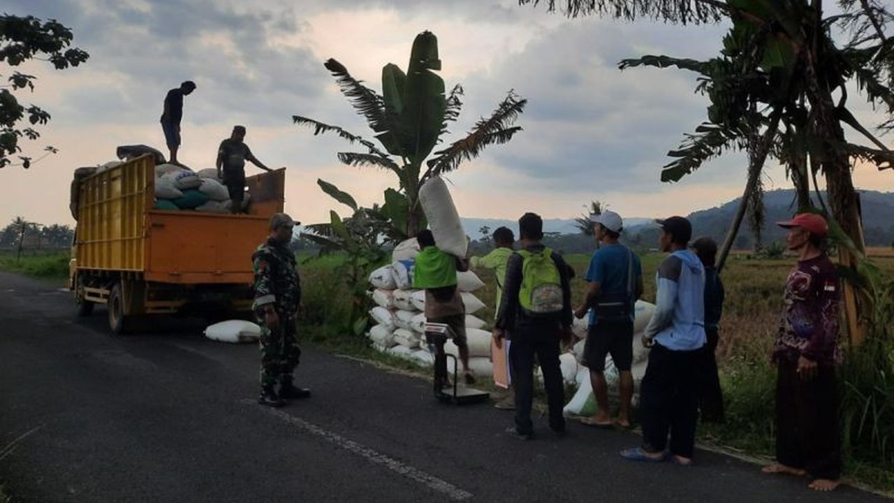 Petani di Banyumas Raya merasakan dampak positif dari harga pembelian pemerintah (HPP) gabah kering panen (GKP) yang tinggi dan kemudahan pembayaran dari Bulog, menjamin stabilitas harga beras.