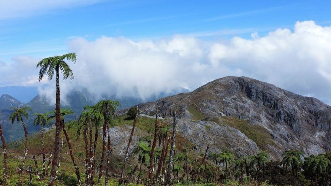 Balai TN Manusela menutup sementara jalur pendakian Gunung Binaiya di Maluku setelah seorang pendaki hilang di jalur Nasapeha, upaya pencarian masih dilakukan.