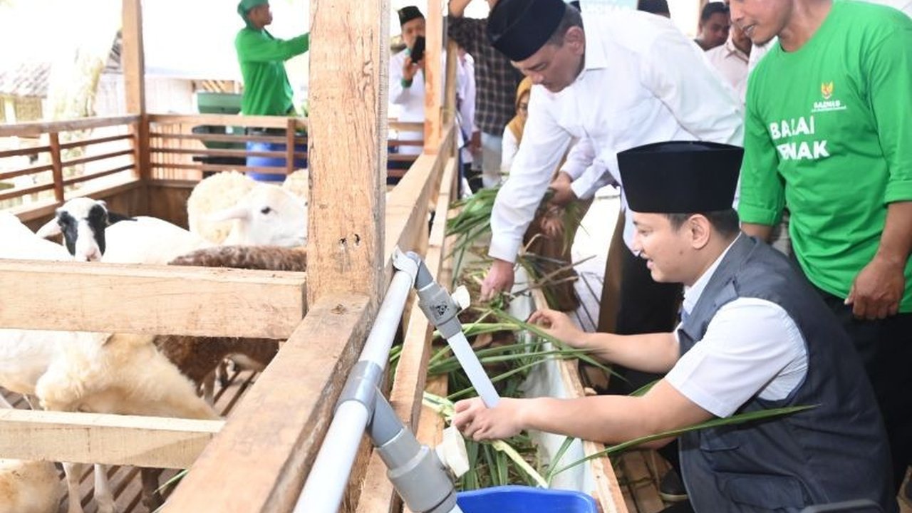 BAZNAS resmikan Balai Ternak Barokah Farm di Trenggalek, Jawa Timur, untuk memberdayakan ekonomi masyarakat melalui peternakan domba dan kambing, melibatkan 20 peternak dengan total anggaran Rp531,91 juta.