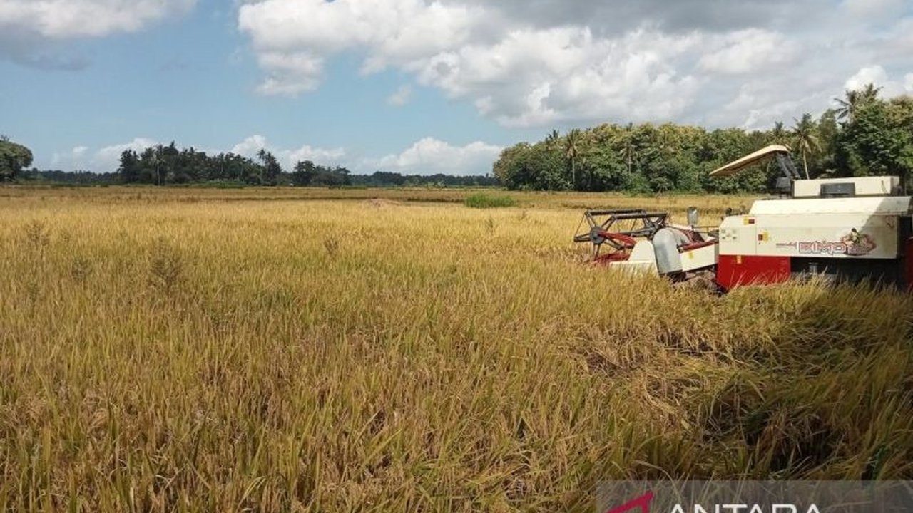 Dinas Ketahanan Pangan dan Pertanian Bantul menyiapkan 4.000 pompa air untuk membantu petani menghadapi kemarau dan memastikan target panen padi tercapai.