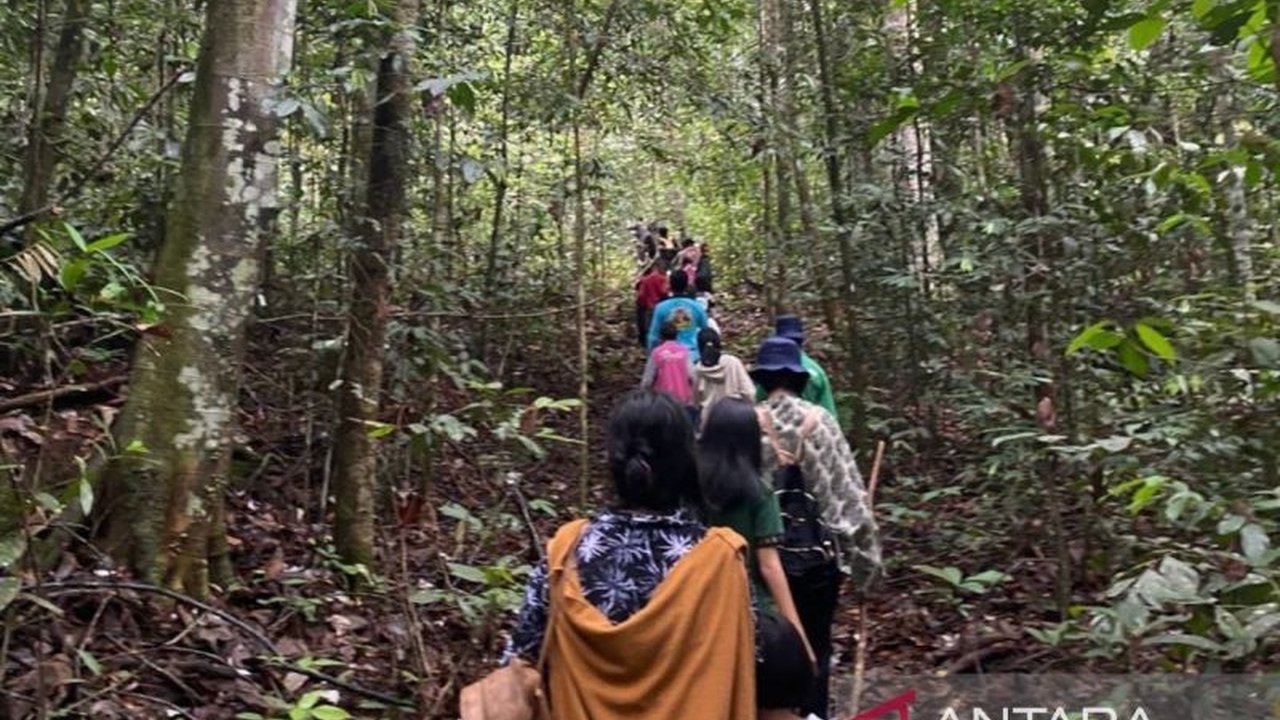 Kementerian Kehutanan gencar mendorong penambahan Kelompok Usaha Perhutanan Sosial (KUPS) di wilayah hutan adat, demi pemberdayaan masyarakat dan pengelolaan hutan berkelanjutan.