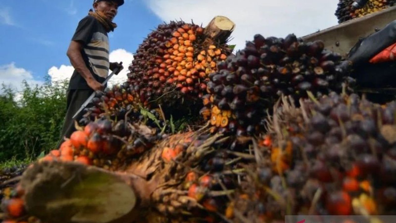 Penurunan harga referensi CPO di Mei 2025 disebabkan oleh melemahnya permintaan dari India dan Tiongkok, serta penurunan harga minyak nabati dan mentah dunia.