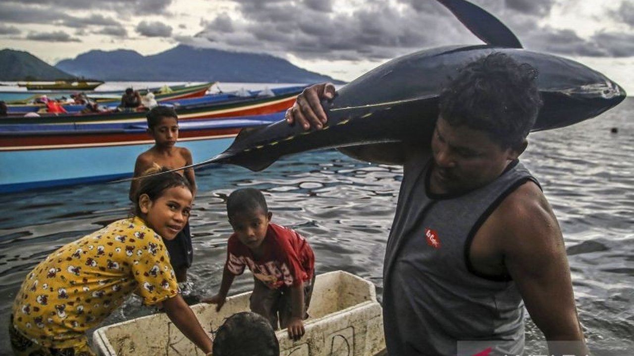 KKP mengumumkan Indonesia sebagai produsen tuna terbesar dunia pada 2022 dengan volume tangkapan mencapai 752.118 ton, melampaui negara lain dan berkontribusi signifikan terhadap ekspor nasional.