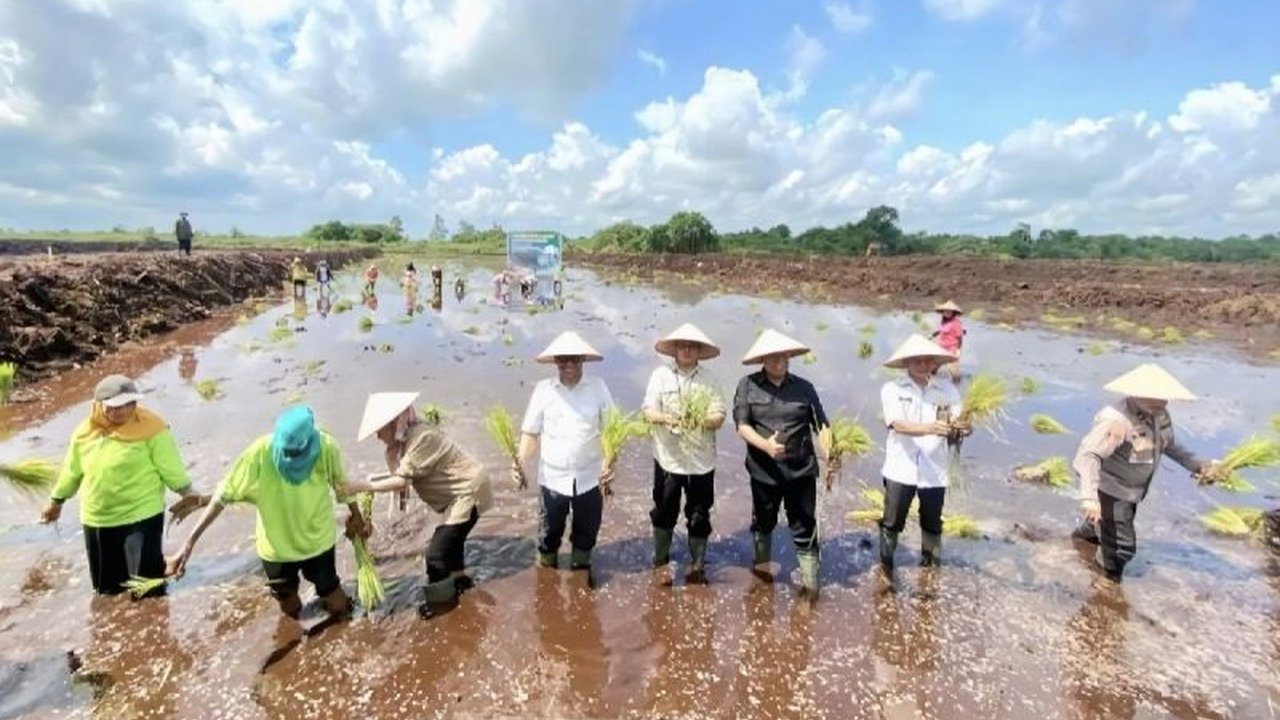 BPBD Kotim memperluas antisipasi kemarau 2025, tak hanya fokus pada karhutla, tetapi juga kekeringan lahan pertanian untuk mendukung swasembada pangan nasional.