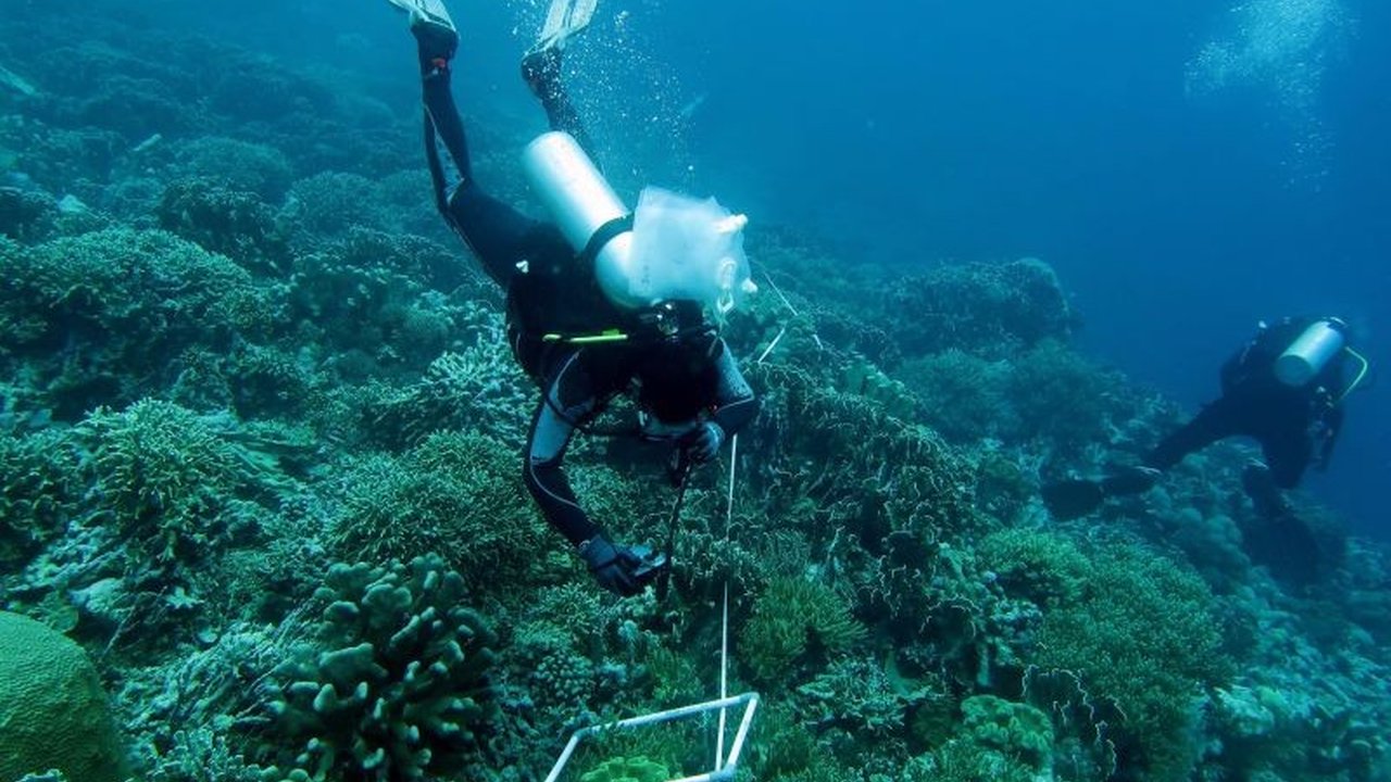 Pemprov Maluku bersama mitra melakukan ekspedisi perlindungan sumber daya laut di Kepulauan Teon, Nila, Serua (TNS) untuk mendorong pengelolaan perikanan berkelanjutan berbasis masyarakat.