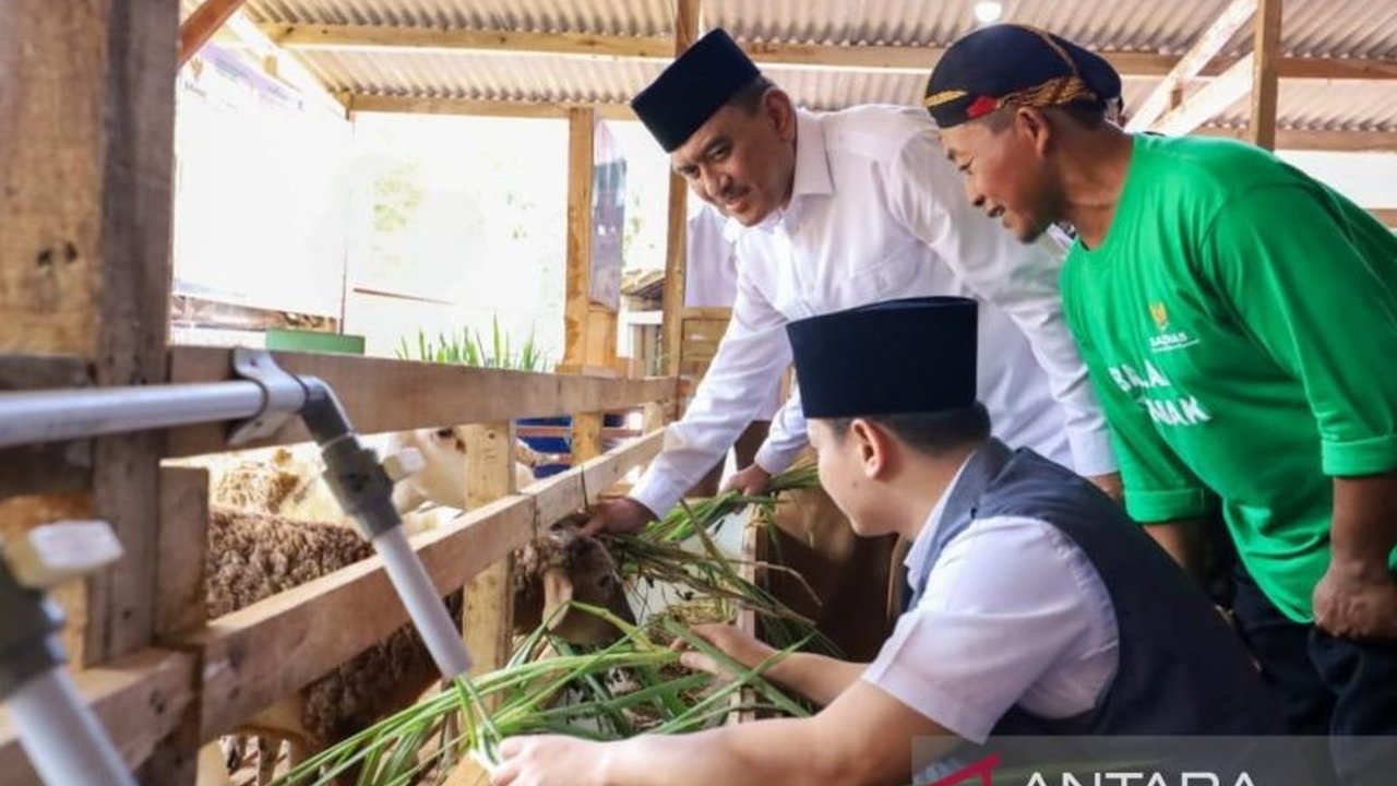Baznas luncurkan Balai Ternak di Trenggalek, memberdayakan 20 peternak mustahik dengan 205 domba dan pelatihan untuk kemandirian ekonomi.