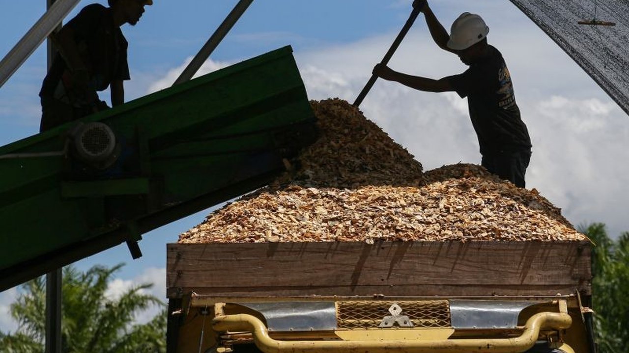 Meningkatnya angka kecelakaan kerja di Indonesia pada 2022 menjadi 6.552 kasus menyoroti lemahnya sistem perlindungan ketenagakerjaan dan perlunya tanggung jawab bersama dari perusahaan, pemerintah, dan lembaga keuangan.