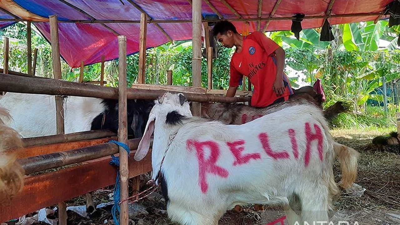 Pemerintah Kota Jakarta Barat memastikan seluruh tempat pemotongan hewan kurban pada Idul Adha mendatang telah memenuhi ketentuan yang berlaku, mengacu pada Pergub Nomor 10 Tahun 2022.