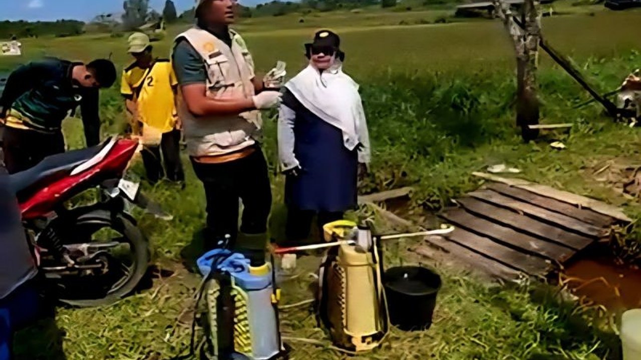 Pemkab Natuna melalui Dinas Ketahanan Pangan dan Pertanian (DKPP) memberikan edukasi kepada petani tentang pengendalian hama tanaman dan penggunaan pupuk subsidi untuk meningkatkan produktivitas pertanian.