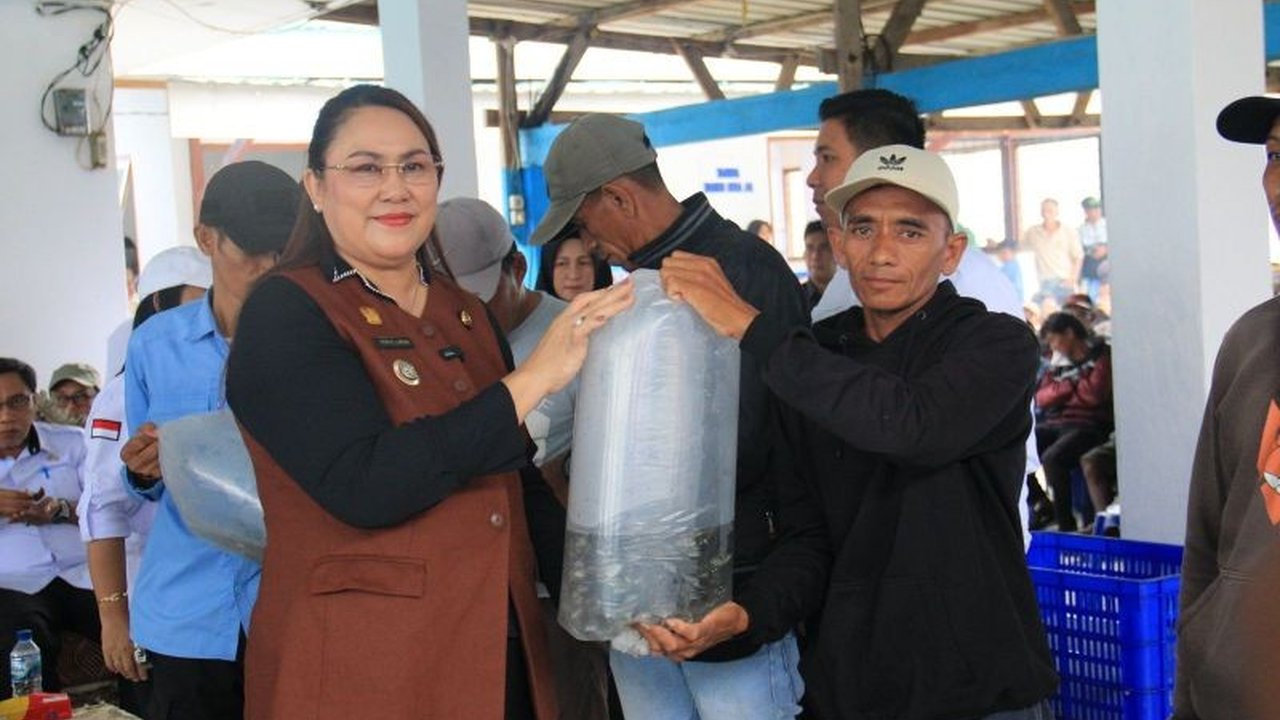 Pemerintah Kabupaten Donggala mendorong pengembangan ekonomi biru untuk meningkatkan kesejahteraan nelayan dan perekonomian daerah melalui berbagai program pemberdayaan.