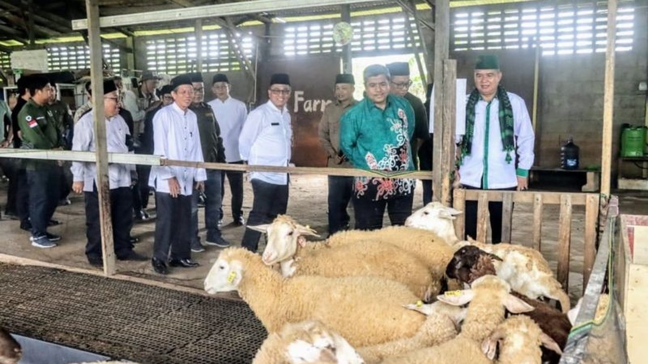 Kerja sama PWNU Kaltim dan PT Surya Hutani Jaya berpotensi besar memenuhi kebutuhan daging kambing dan domba di Kalimantan Timur yang masih defisit hingga 211 ton per tahun.