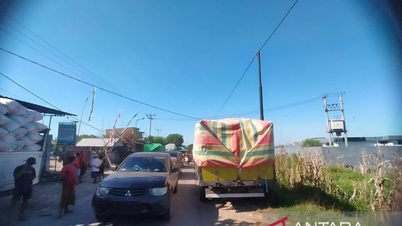 Bulog Serap 10.000 Ton Jagung Petani Dompu, Harga Rp5.500 per Kg