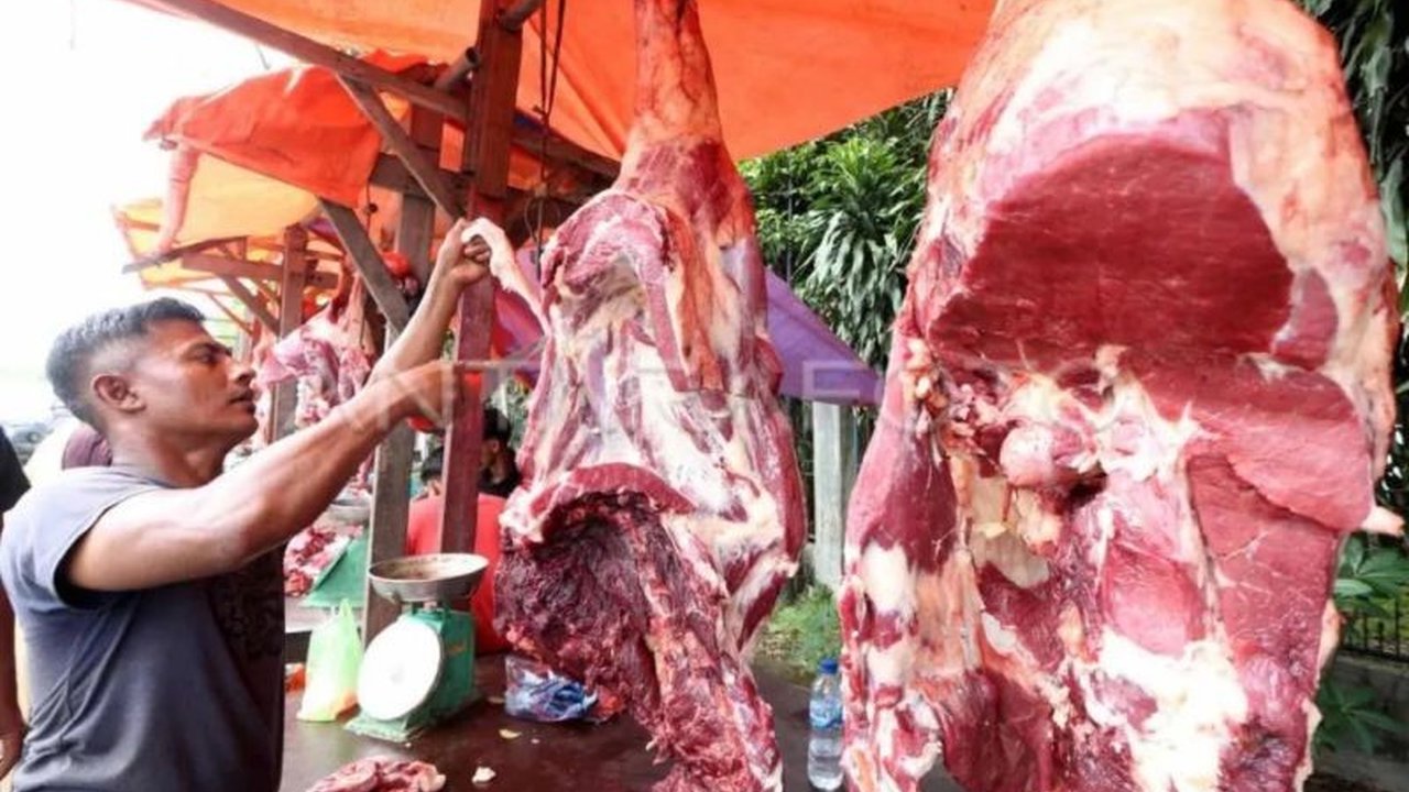 Peneliti CIPS menyoroti dampak positif penghapusan kuota impor daging sapi terhadap ketersediaan dan harga di pasaran, mendorong revisi regulasi terkait.