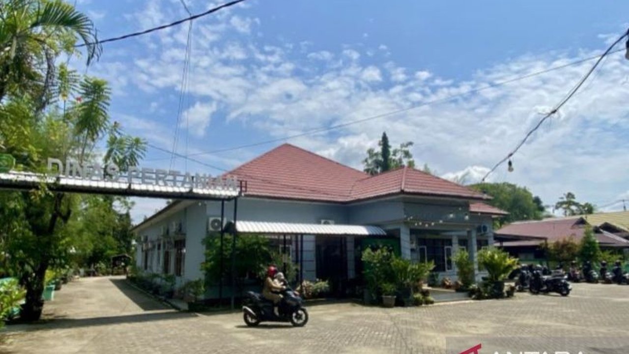 Dinas Pertanian Tapin, Kalimantan Selatan, memanfaatkan penyuluh pertanian swadaya untuk mengatasi kekurangan penyuluh lapangan dan memastikan pendampingan optimal bagi petani.