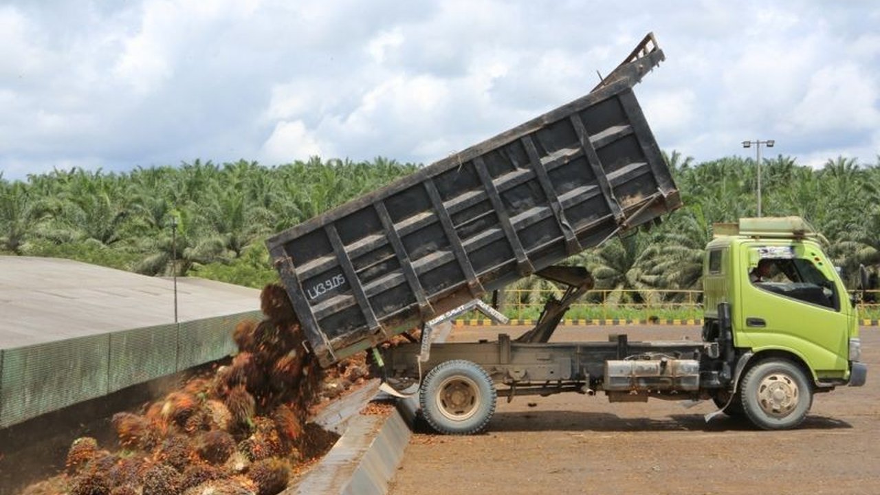 PT Dharma Satya Nusantara Tbk (DSNG) berhasil membukukan laba Rp367 miliar pada kuartal I 2025, didorong kenaikan harga jual produk kelapa sawit dan efisiensi biaya produksi.
