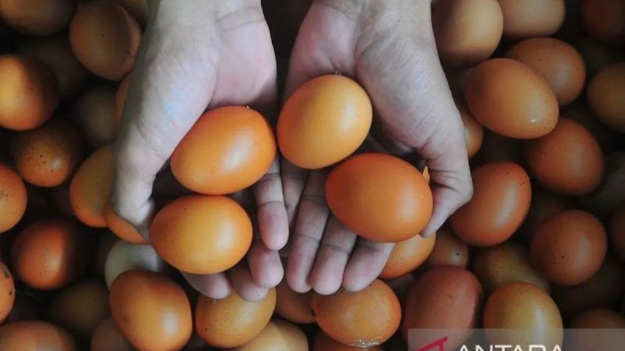 Badan Pangan Nasional (Bapanas) melaporkan kenaikan harga daging ayam dan cabai rawit merah di tingkat konsumen, sementara komoditas lain seperti beras dan minyak goreng menunjukkan fluktuasi harga.