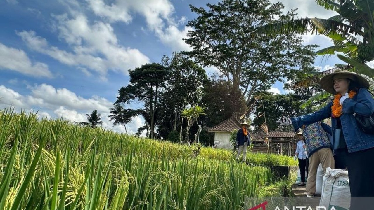 Pertamina Internasional Eksplorasi dan Produksi (PIEP) memperkenalkan Desa Energi Berdikari Keliki di Bali kepada jurnalis Aljazair,  menunjukkan keberhasilan program TJSL dan potensi UMKM lokal.