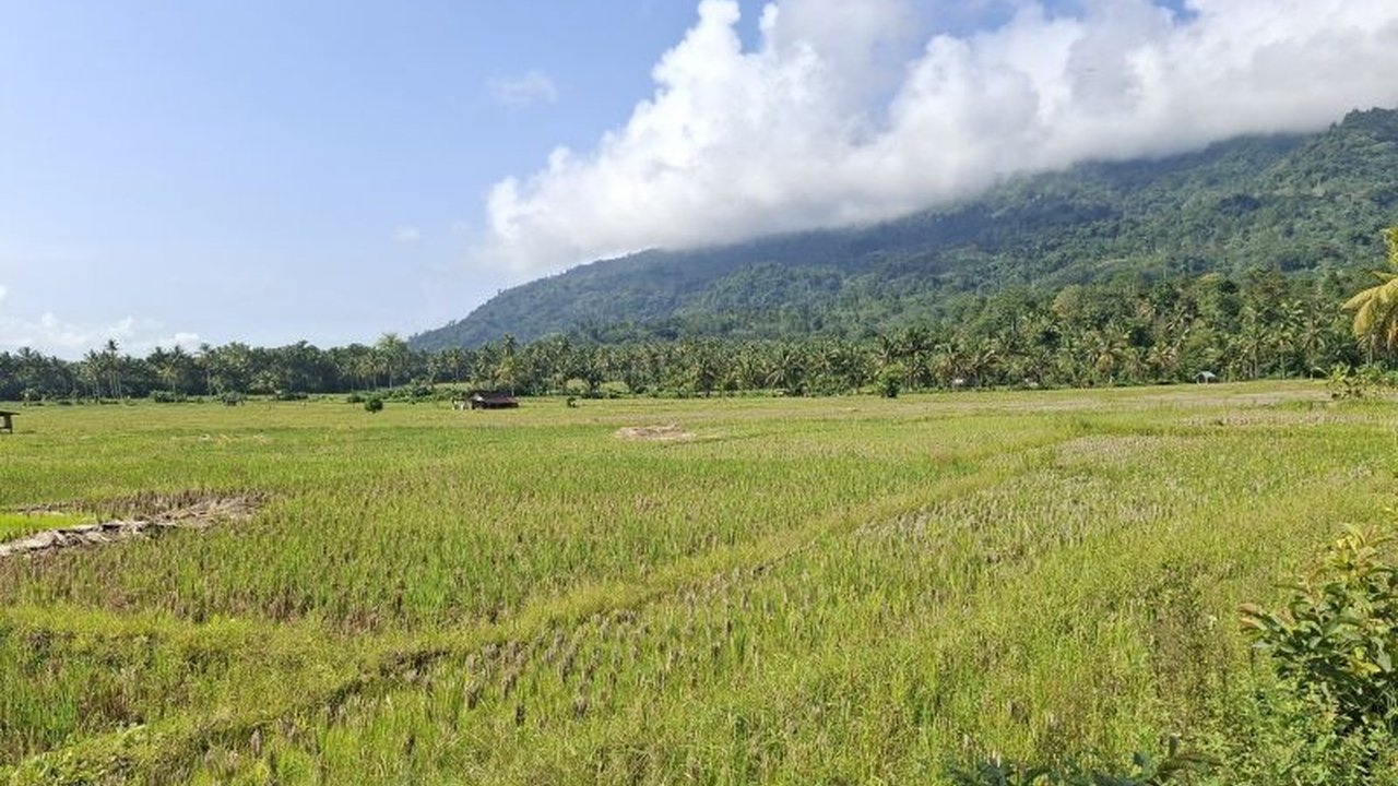 Perum Bulog Kanwil Lampung berhasil menyerap gabah petani mencapai 155 ribu ton hingga awal Mei 2025, melampaui target awal dan berpotensi meningkat hingga 200 ribu ton.