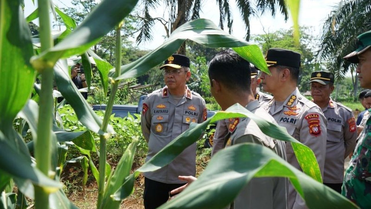 Sinergi TNI-Polri Dongkrak Ketahanan Pangan Nasional di Bengkayang