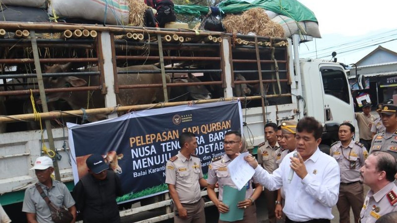Kepala Badan Karantina Pertanian meninjau langsung pengiriman hewan kurban di NTB, memastikan kesehatan ternak dan kelancaran distribusi untuk Idul Adha, sekaligus menekan potensi penyebaran penyakit mulut dan kuku (PMK).