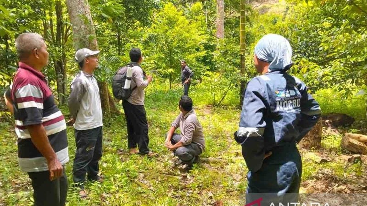 Tim gabungan BKSDA Aceh berhasil mengusir beruang madu yang meresahkan warga di Abdya dengan menggunakan mercon, setelah beruang tersebut beberapa malam meneror warga dengan memakan ternak dan merusak rumah.
