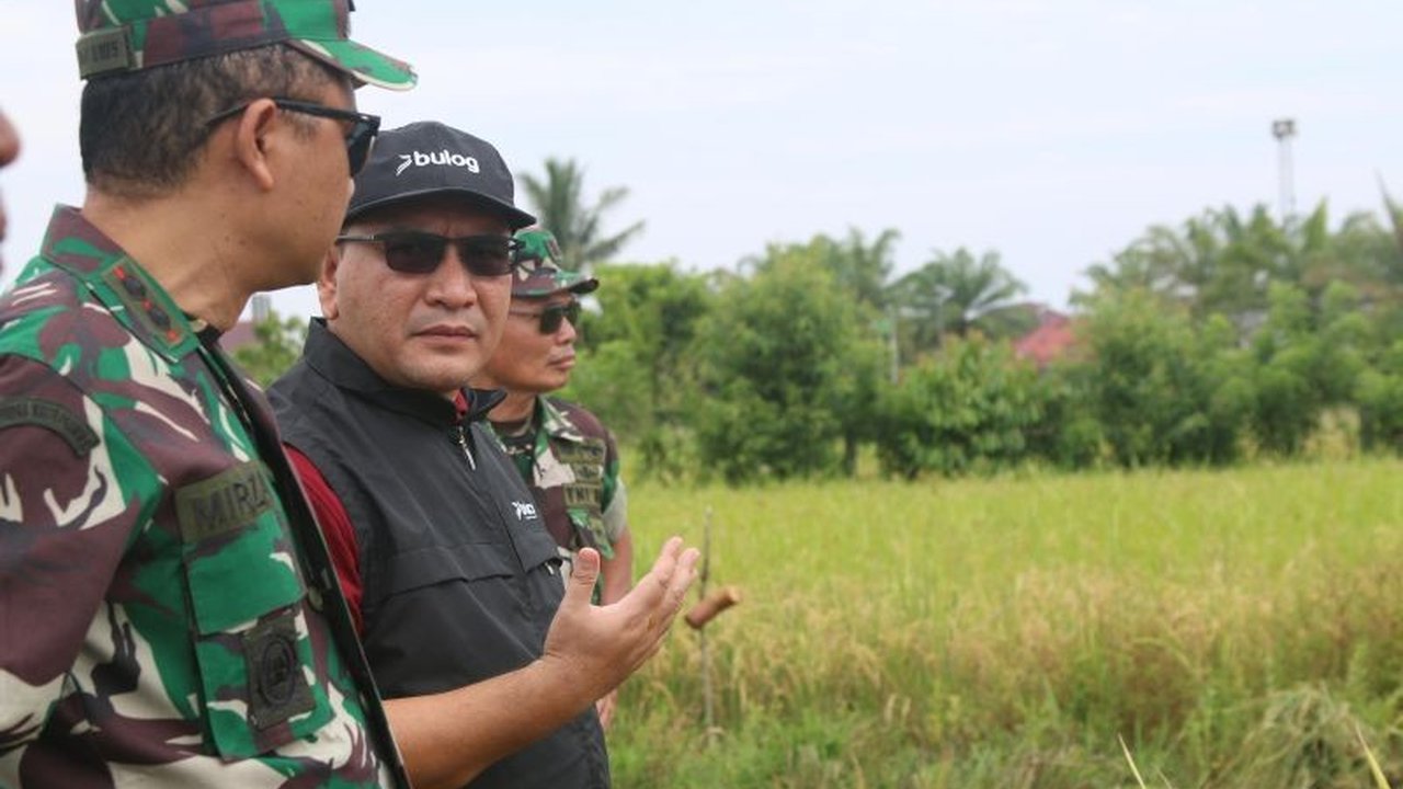 Bulog Meulaboh Capai Serapan Gabah 8.976 Ton, Dekati Target Swasembada Pangan