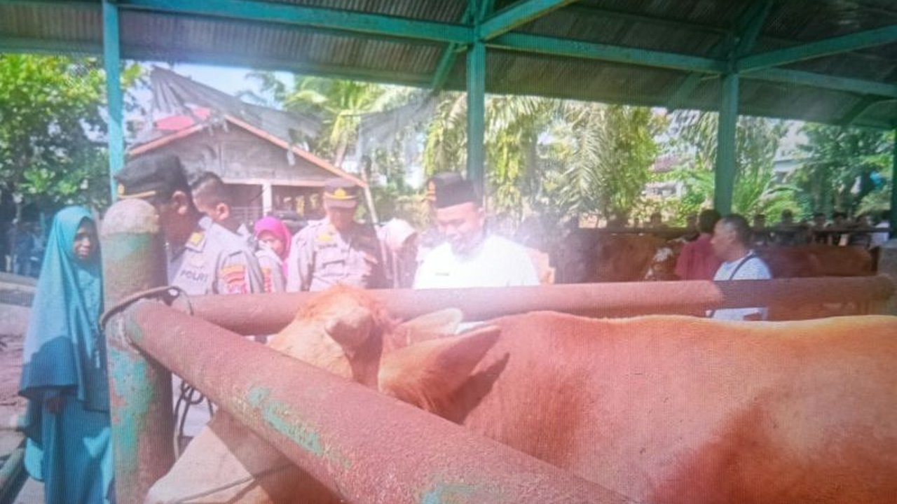 Pemerintah Kabupaten Pasaman Barat mewajibkan hewan kurban memiliki SKKH untuk memastikan kesehatan dan kehalalannya menjelang Idul Adha 1446 H.