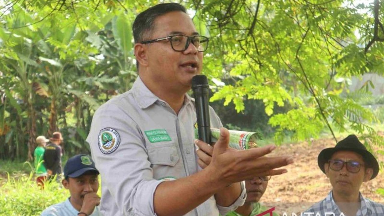 Pemerintah Kabupaten Kuningan membantu petani mengembangkan budi daya kedelai dengan berbagai bantuan, pelatihan, dan program strategis untuk meningkatkan produktivitas dan kesejahteraan petani.
