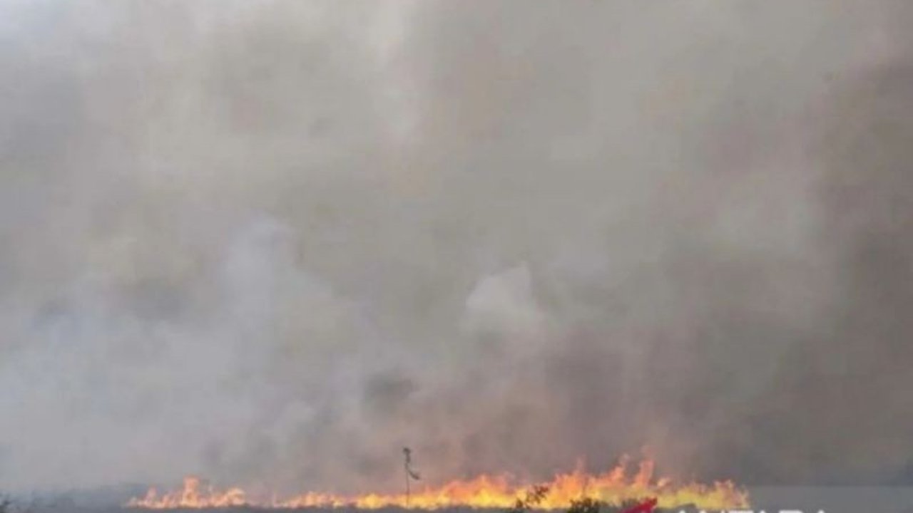 BNPB meminta pemerintah daerah Kalimantan Tengah meningkatkan kesiapsiagaan menghadapi karhutla yang telah terjadi di beberapa wilayah, dengan total 25,46 hektar lahan terdampak sejak Januari 2025.