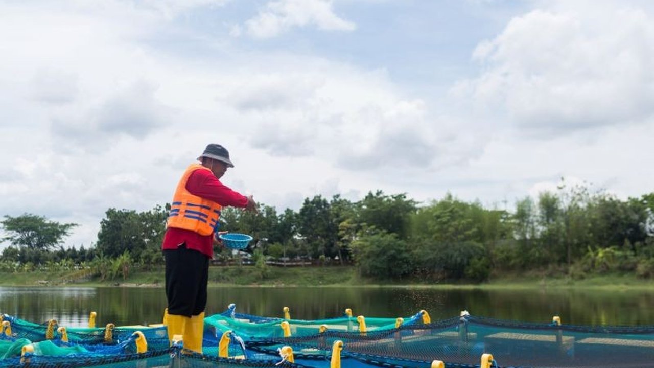 Program pengelolaan lingkungan dan sosial PT Semen Indonesia (Persero) Tbk (SIG) pada 2024 berhasil menciptakan lebih dari 20 ribu lapangan kerja baru di berbagai wilayah Indonesia.