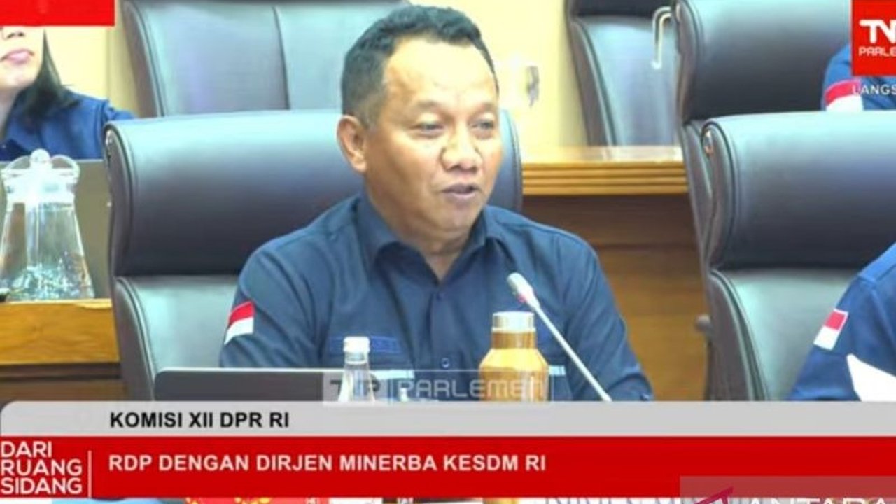 Kementerian ESDM memperkirakan penurunan harga nikel dunia disebabkan oleh pelemahan industri global, terutama di China, ditambah kelebihan pasokan dan perang dagang.