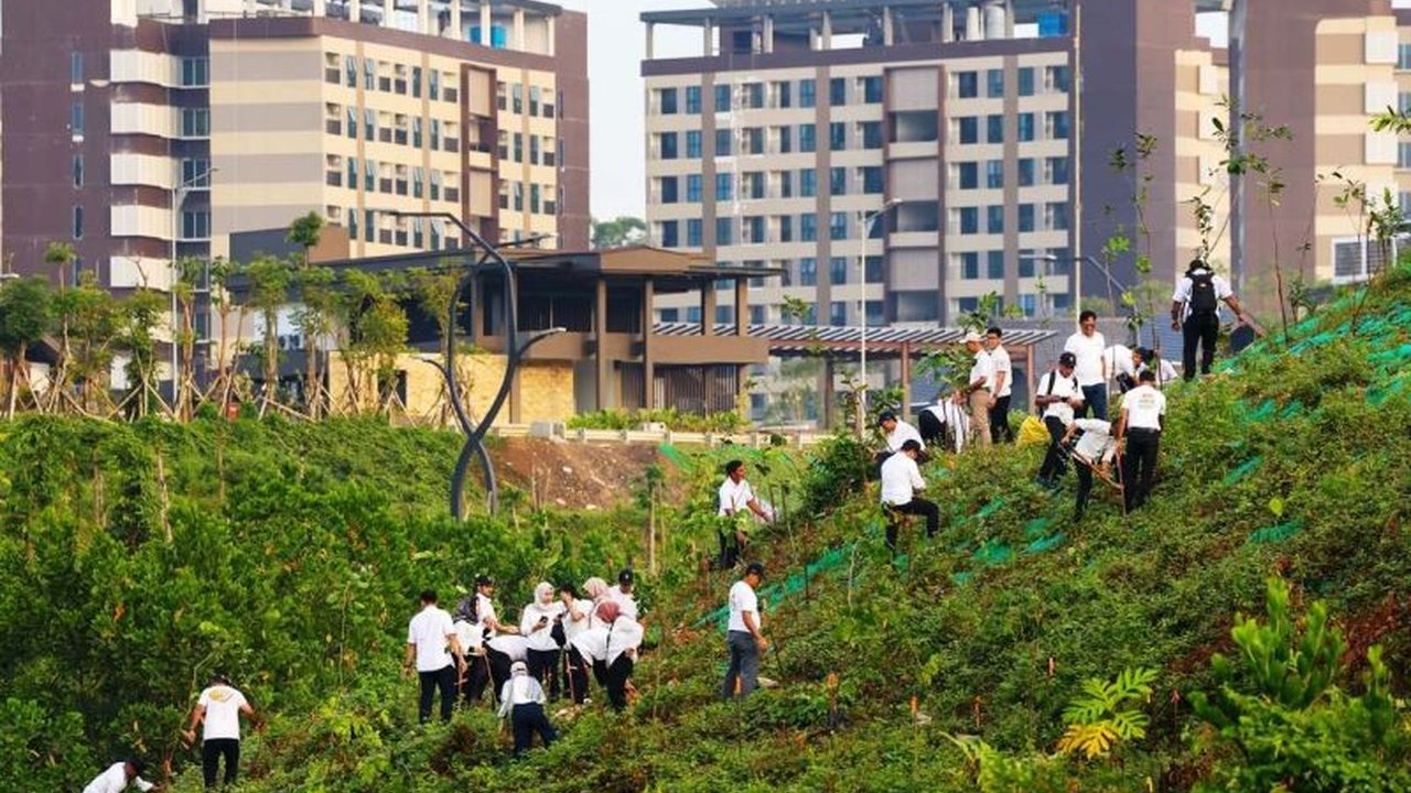 Otorita Ibu Kota Nusantara (OIKN) melakukan penanaman pohon secara rutin untuk menghijaukan 80 hektare lahan dan mewujudkan kota hutan inklusif yang melibatkan seluruh pihak.