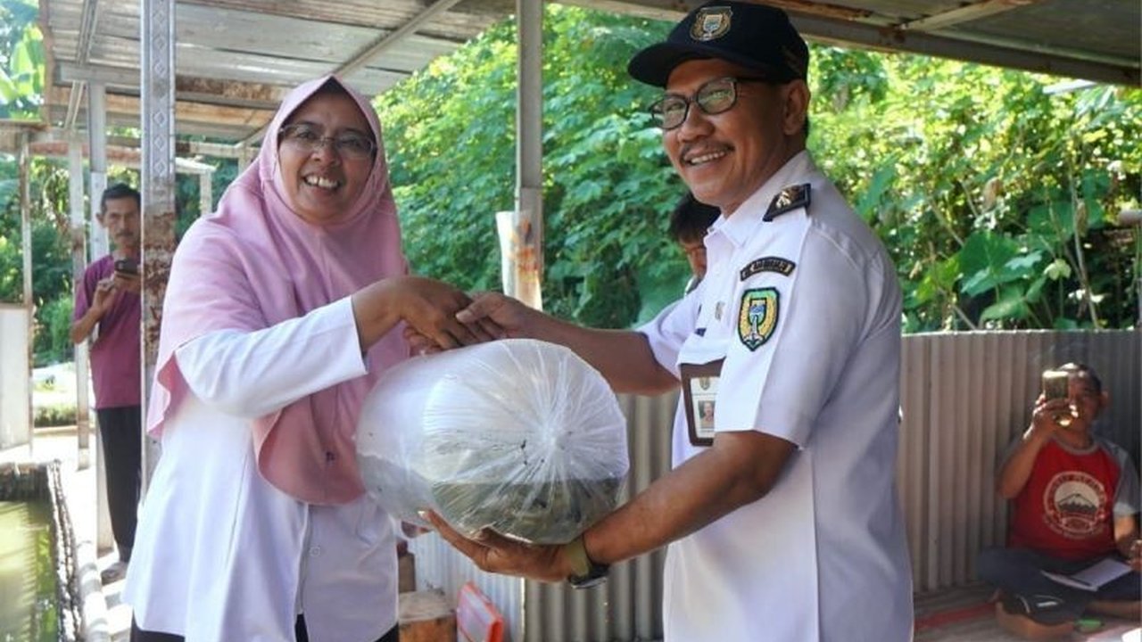 Dinas Ketahanan Pangan dan Pertanian Kota Madiun tebar ribuan benih ikan gurami dan patin di Sungai Bengawan Madiun untuk menjaga ekosistem dan meningkatkan konsumsi ikan.