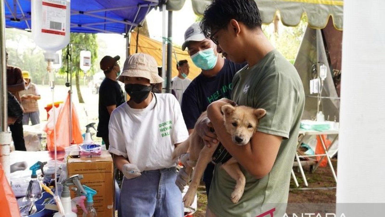 ITDC Fasilitasi Vaksinasi Rabies di Bali: Langkah Nyata Menuju Pariwisata Berkelanjutan